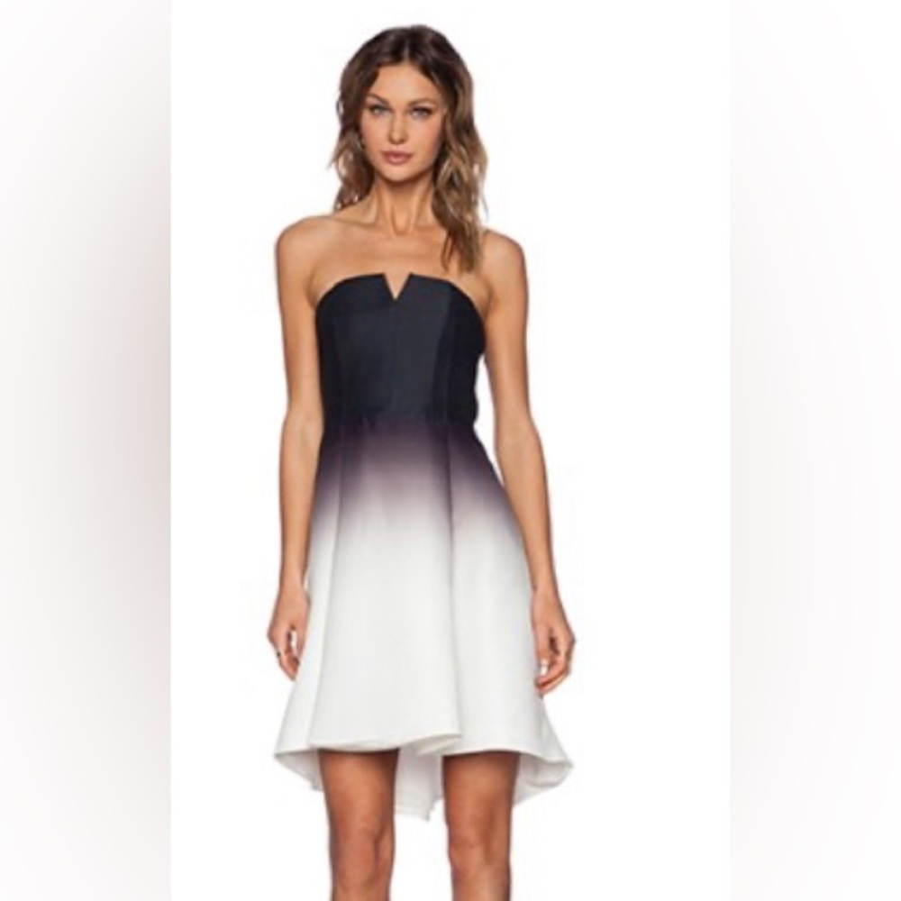Halston Heritage Ombré Cocktail Dress